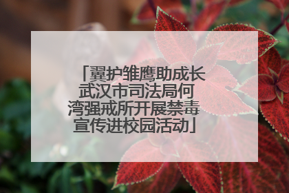 翼护雏鹰助成长 武汉市司法局何湾强戒所开展禁毒宣传进校园活动