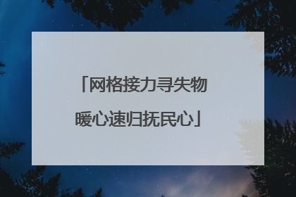 网格接力寻失物 暖心速归抚民心