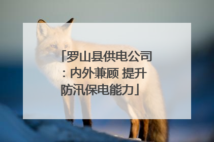 罗山县供电公司：内外兼顾 提升防汛保电能力