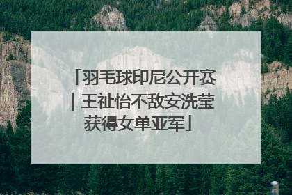 羽毛球印尼公开赛｜王祉怡不敌安洗莹 获得女单亚军