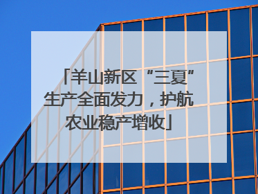 羊山新区“三夏”生产全面发力，护航农业稳产增收