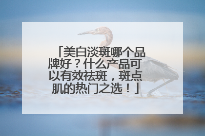 美白淡斑哪个品牌好？什么产品可以有效祛斑，斑点肌的热门之选！