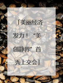美丽经济发力！“美创静界”首秀上交会