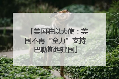 美国驻以大使：美国不再“全力”支持巴勒斯坦建国
