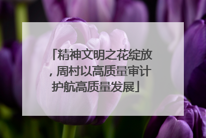 精神文明之花绽放，周村以高质量审计护航高质量发展
