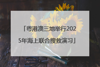 粤港澳三地举行2025年海上联合搜救演习