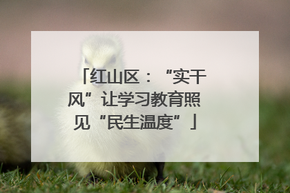 红山区：“实干风”让学习教育照见“民生温度”