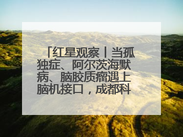 红星观察丨当孤独症、阿尔茨海默病、脑胶质瘤遇上脑机接口，成都科研改变医学图景