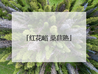 红花峪 桑葚熟