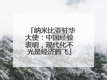 纳米比亚驻华大使：中国经验表明，现代化不光是经济腾飞