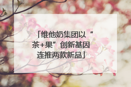 维他奶集团以“茶+果”创新基因连推两款新品