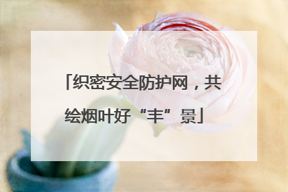 织密安全防护网，共绘烟叶好“丰”景