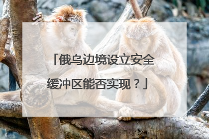 俄乌边境设立安全缓冲区能否实现？