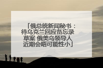 俄总统新闻秘书：待乌克兰回应备忘录草案 俄美乌领导人近期会晤可能性小
