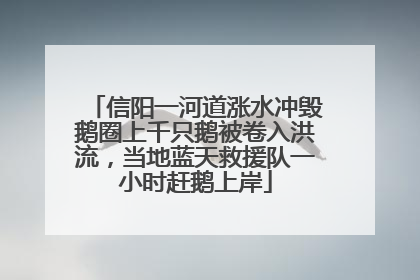 信阳一河道涨水冲毁鹅圈上千只鹅被卷入洪流，当地蓝天救援队一小时赶鹅上岸