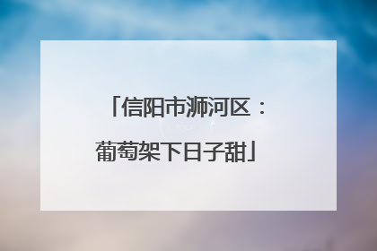 信阳市浉河区：葡萄架下日子甜