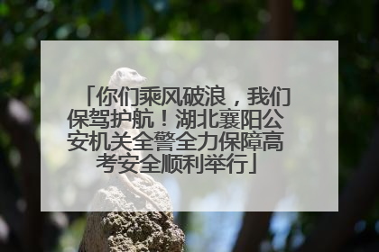 你们乘风破浪，我们保驾护航！湖北襄阳公安机关全警全力保障高考安全顺利举行