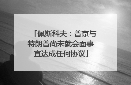 佩斯科夫：普京与特朗普尚未就会面事宜达成任何协议