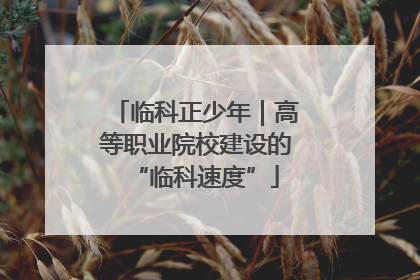 临科正少年｜高等职业院校建设的“临科速度”
