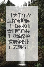 为千年农遗保驾护航！《丽水市青田稻鱼共生系统保护发展条例》正式施行