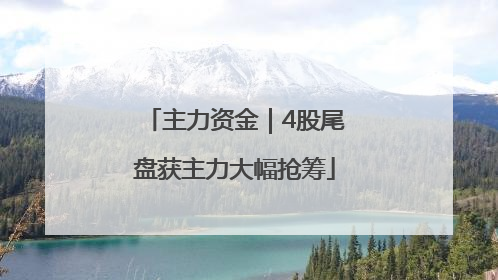 主力资金｜4股尾盘获主力大幅抢筹