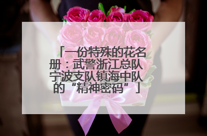 一份特殊的花名册：武警浙江总队宁波支队镇海中队的“精神密码”