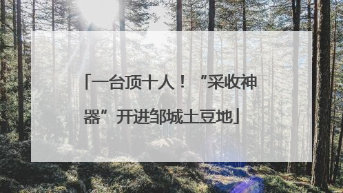 一台顶十人！“采收神器”开进邹城土豆地