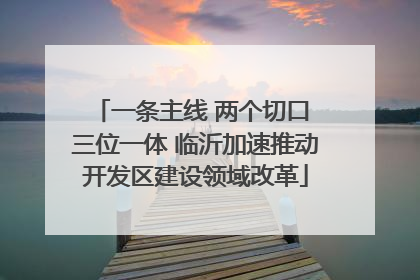 一条主线 两个切口 三位一体 临沂加速推动开发区建设领域改革