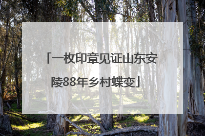 一枚印章见证山东安陵88年乡村蝶变