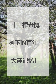 一棵老槐树下的百年大连记忆