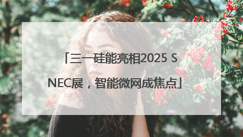 三一硅能亮相2025 SNEC展，智能微网成焦点