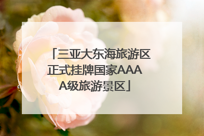 三亚大东海旅游区正式挂牌国家AAAA级旅游景区