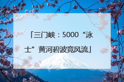 三门峡：5000“泳士”黄河碧波竞风流