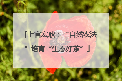 上官宏耿：“自然农法”培育“生态好茶”