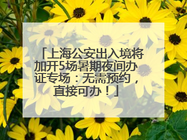 上海公安出入境将加开5场暑期夜间办证专场：无需预约，直接可办！