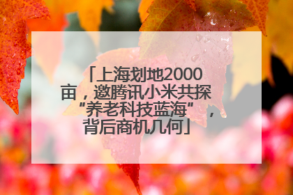 上海划地2000亩，邀腾讯小米共探“养老科技蓝海”，背后商机几何