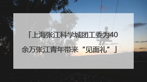 上海张江科学城团工委为40余万张江青年带来“见面礼”