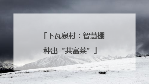 下瓦泉村：智慧棚种出“共富菜”