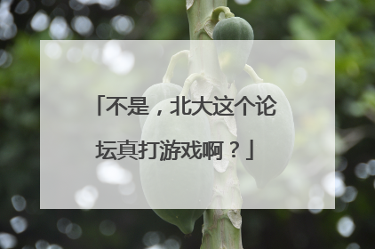 不是，北大这个论坛真打游戏啊？