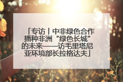 专访丨中非绿色合作播种非洲“绿色长城”的未来——访毛里塔尼亚环境部长拉格达夫