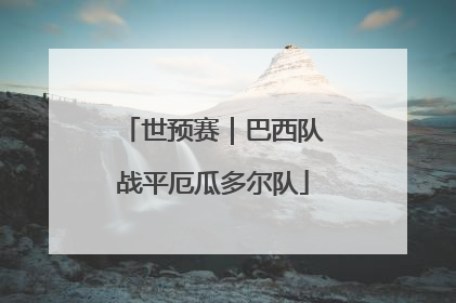 世预赛｜巴西队战平厄瓜多尔队