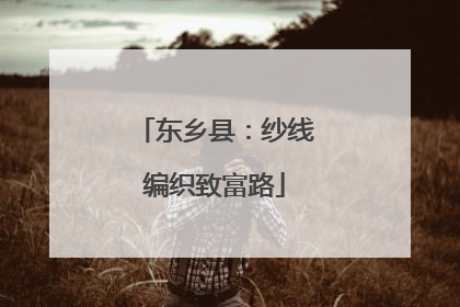 东乡县：纱线编织致富路