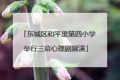 东城区和平里第四小学举行三幕心理剧展演