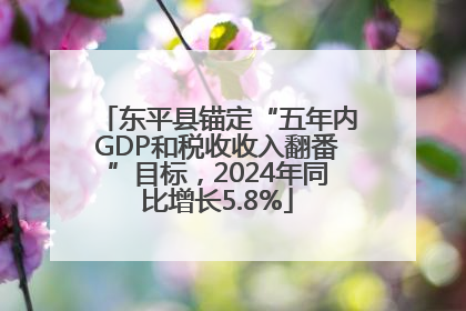 东平县锚定“五年内GDP和税收收入翻番”目标，2024年同比增长5.8%