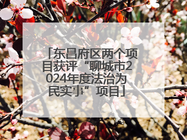 东昌府区两个项目获评“聊城市2024年度法治为民实事”项目