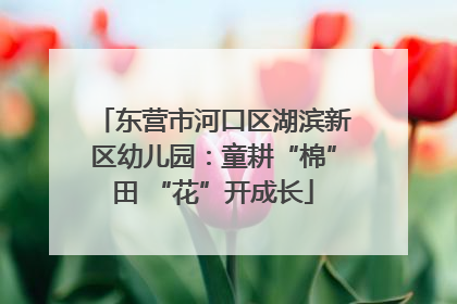 东营市河口区湖滨新区幼儿园：童耕“棉”田 “花”开成长