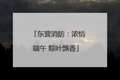 东营消防：浓情端午 粽叶飘香