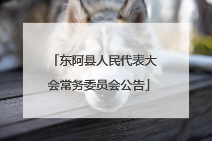 东阿县人民代表大会常务委员会公告