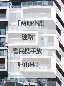 两地小鹿“迷路”，警民携手放归山林