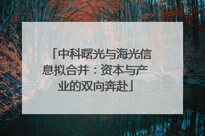 中科曙光与海光信息拟合并：资本与产业的双向奔赴